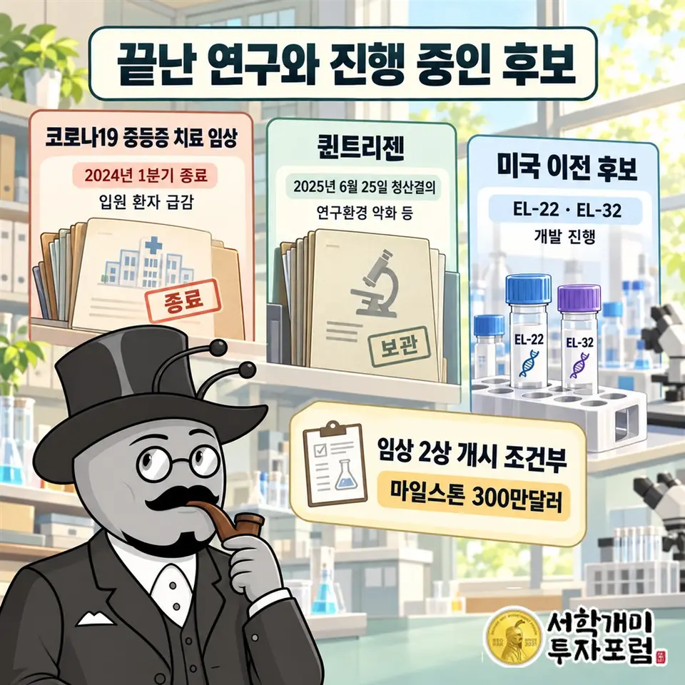 연구의 서로 다른 진행 상태를 날짜로 구분한다. 코로나19 중등증 치료 임상은 입원 환자 급감으로 2024년 1분기 종료, 퀸트리젠은 연구환경 악화 등으로 2025년 6월 25일 청산결의, 미국 이전 후보 EL-22·EL-32는 개발 진행. 임상 2상 개시 조건부 마일스톤 300만달러를 별도로 표시한다.