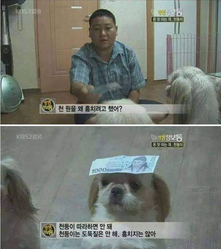 14b7a7e2f11c1a31ef57dd86140d11d4_1617866072_2838.png