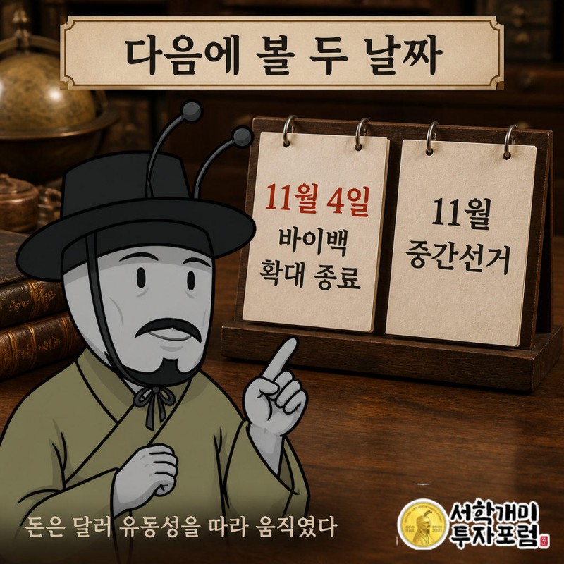 바이백 확대가 끝나는 11월 4일 이후 비트코인 ETF 일별 자금 흐름이 첫 시험대