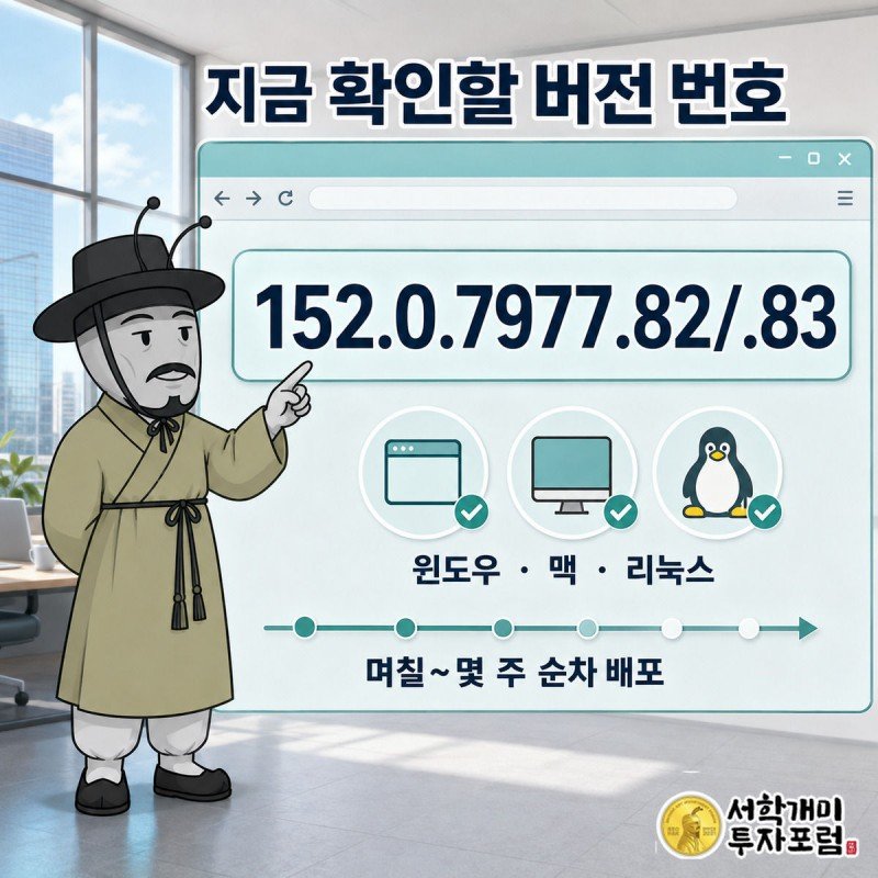 서민개미가 크롬 정보 화면에서 버전 번호 152.0.7977.82를 손가락으로 확인하는 모습