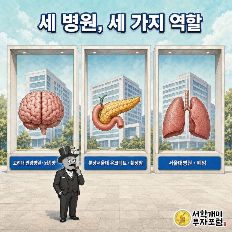 고려대 안암병원, 분당서울대 온코텍트 컨소시엄, 서울대병원이 각각 뇌종양, 췌장암, 폐암을 맡았다는 것을 3분할로 비교한 이미지