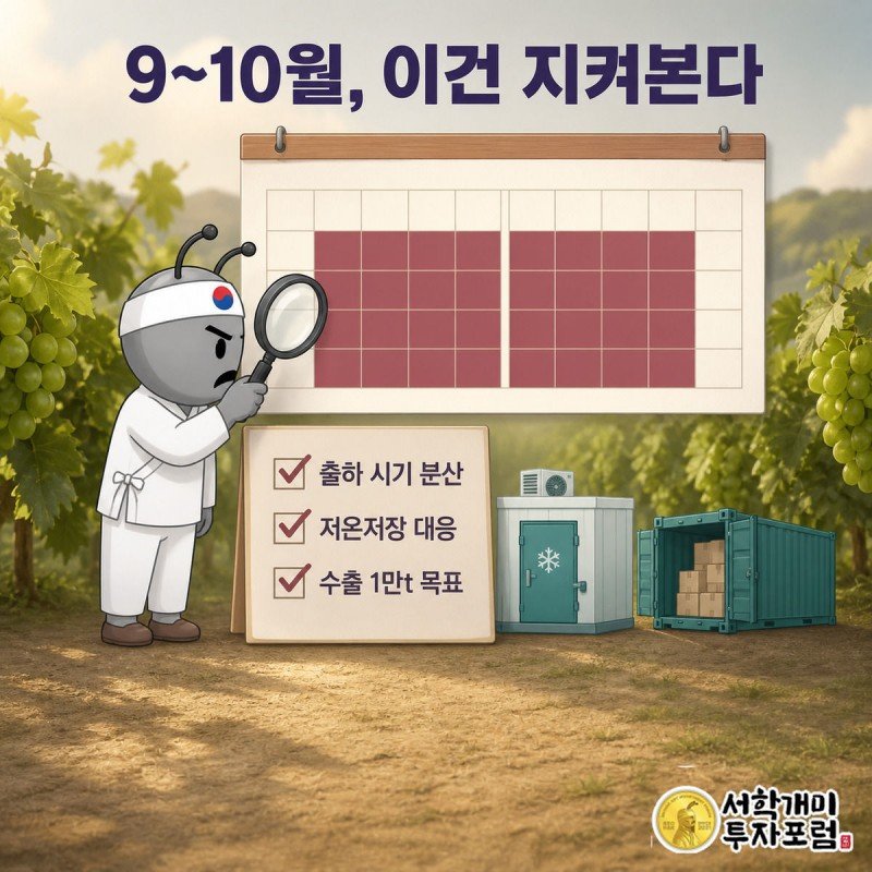 9월과 10월이 강조된 달력을 돋보기로 들여다보는 개미 캐릭터, 출하 분산과 수출 계획 등 앞으로 확인할 항목을 보여주는 장면